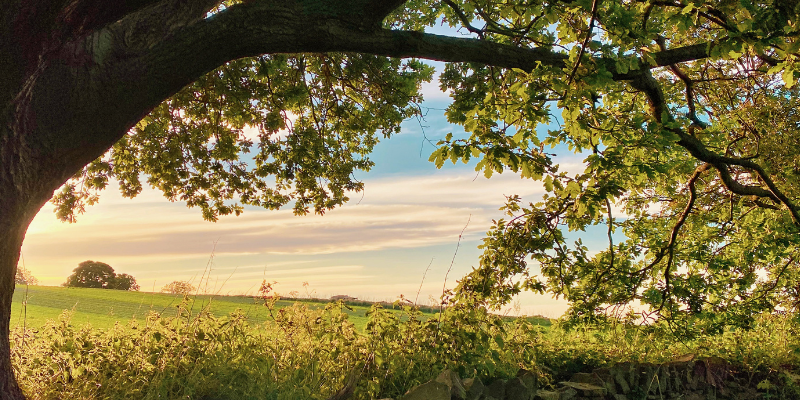 Property Renovation Barnsley